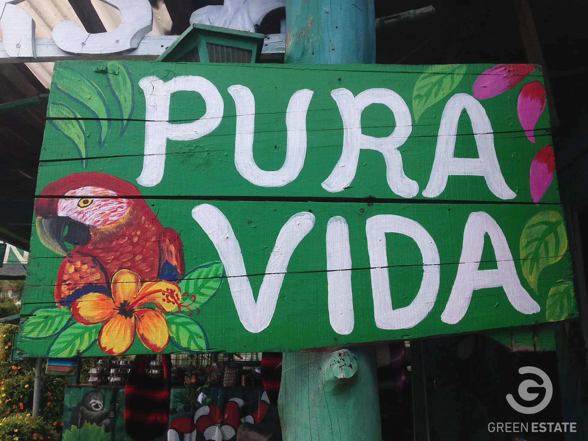 vista-greenestate-pura-vida